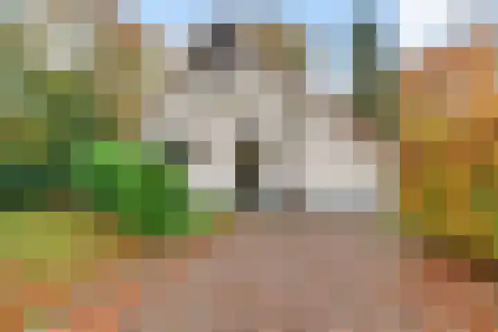 Valtherweg 36 322 Exloo thumbnail 4