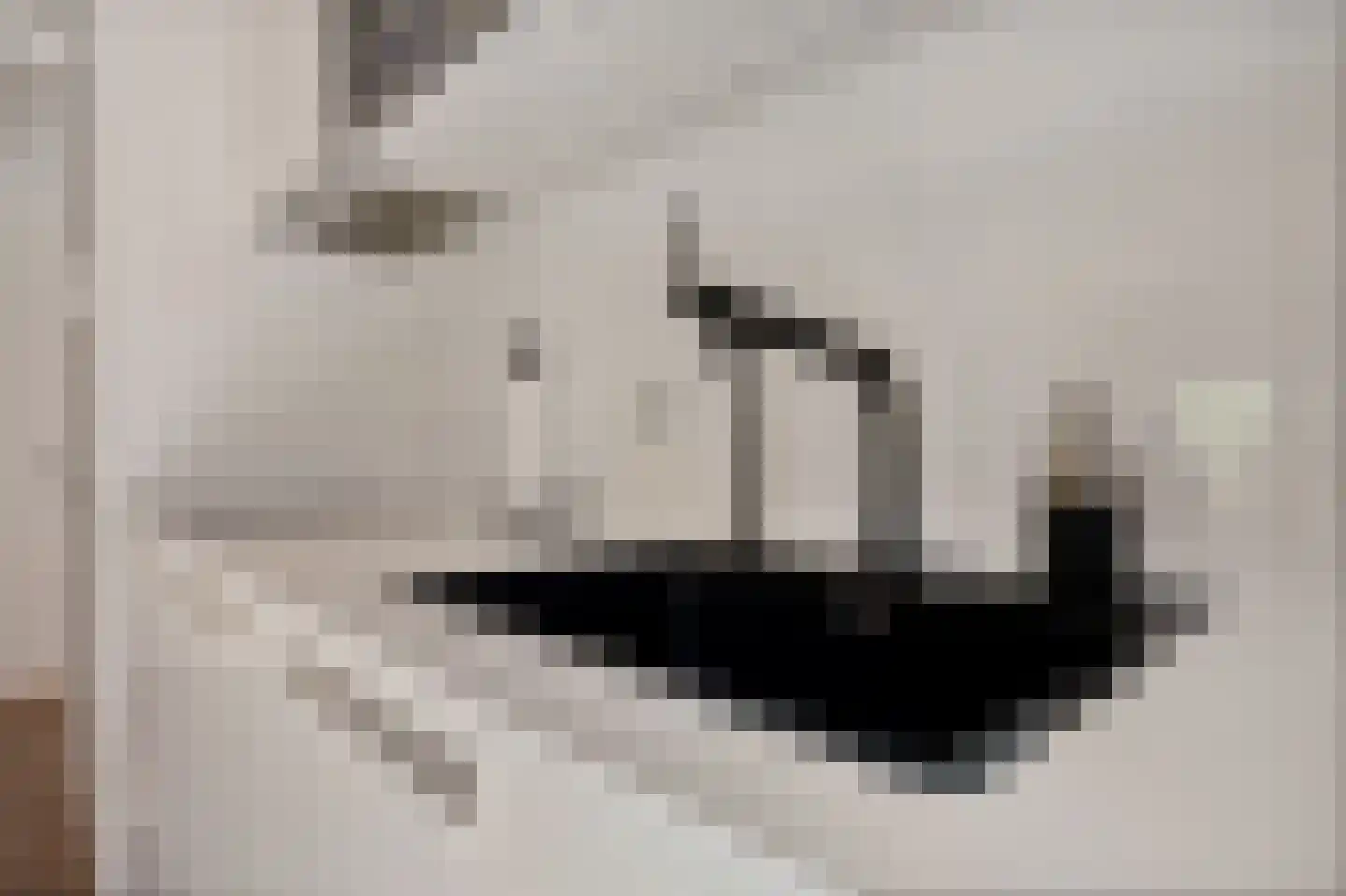 Valtherweg 36 337 Exloo thumbnail 10
