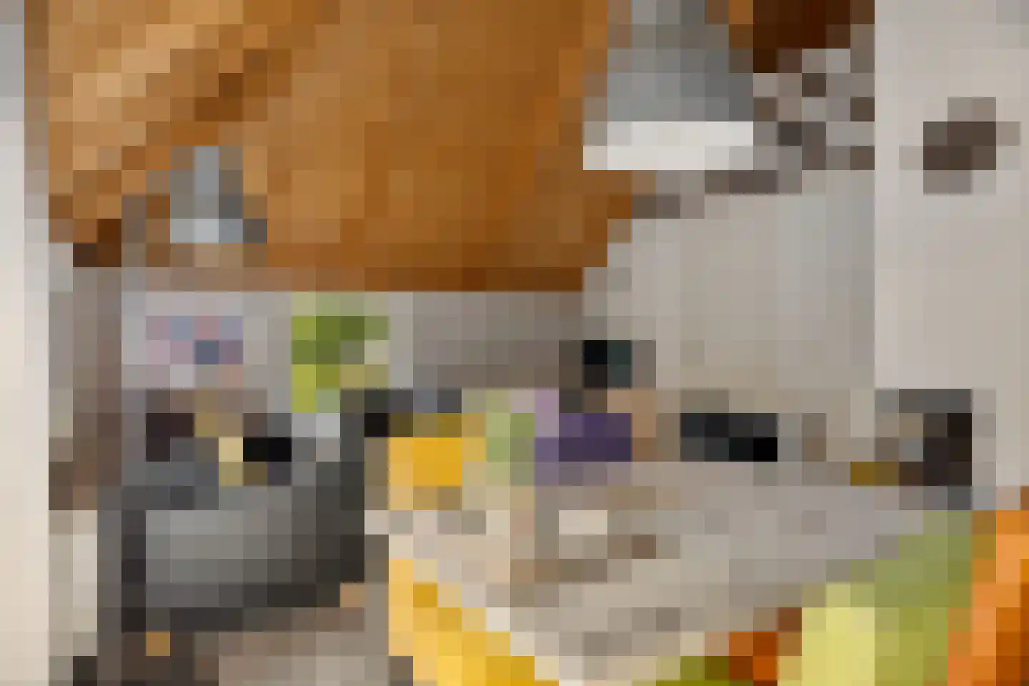 Valtherweg 36 337 Exloo thumbnail 11