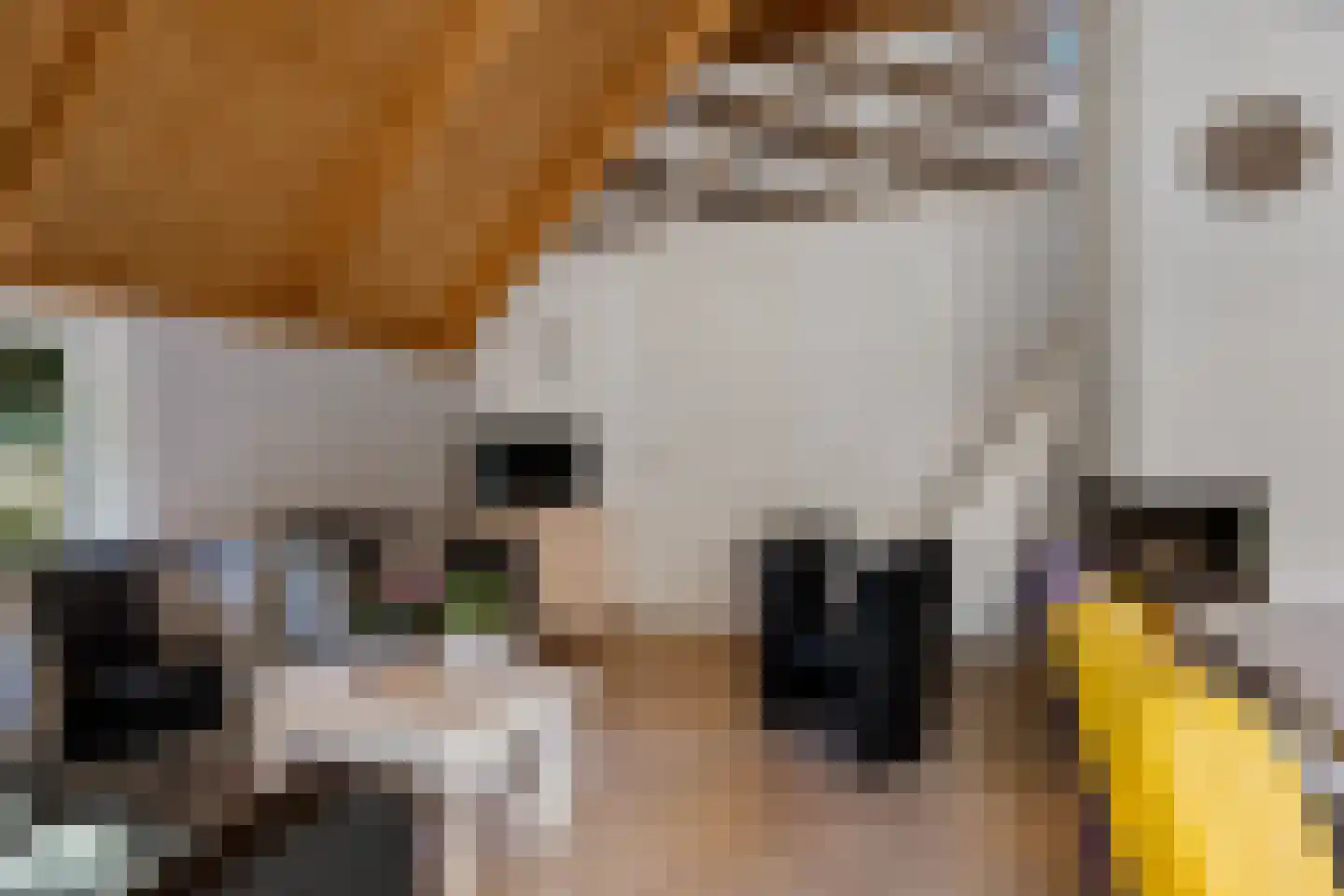 Valtherweg 36 337 Exloo thumbnail 12