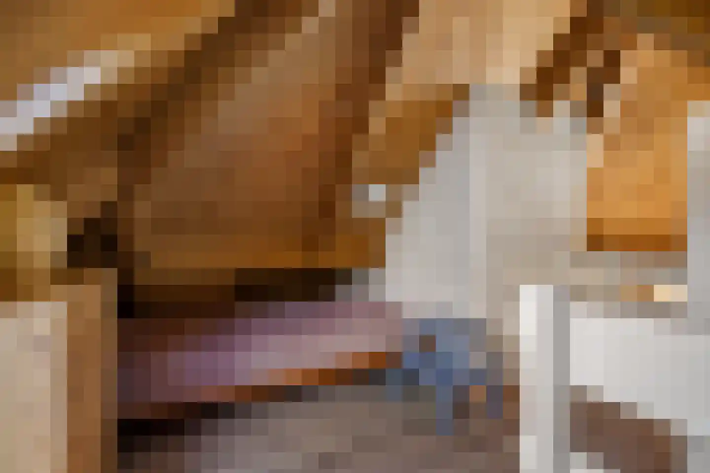 Valtherweg 36 337 Exloo thumbnail 15