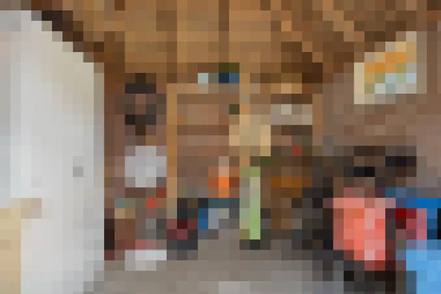 Valtherweg 36 337 Exloo thumbnail 27