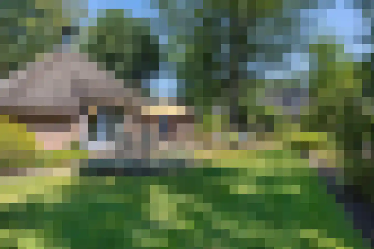 Valtherweg 36 337 Exloo thumbnail 31