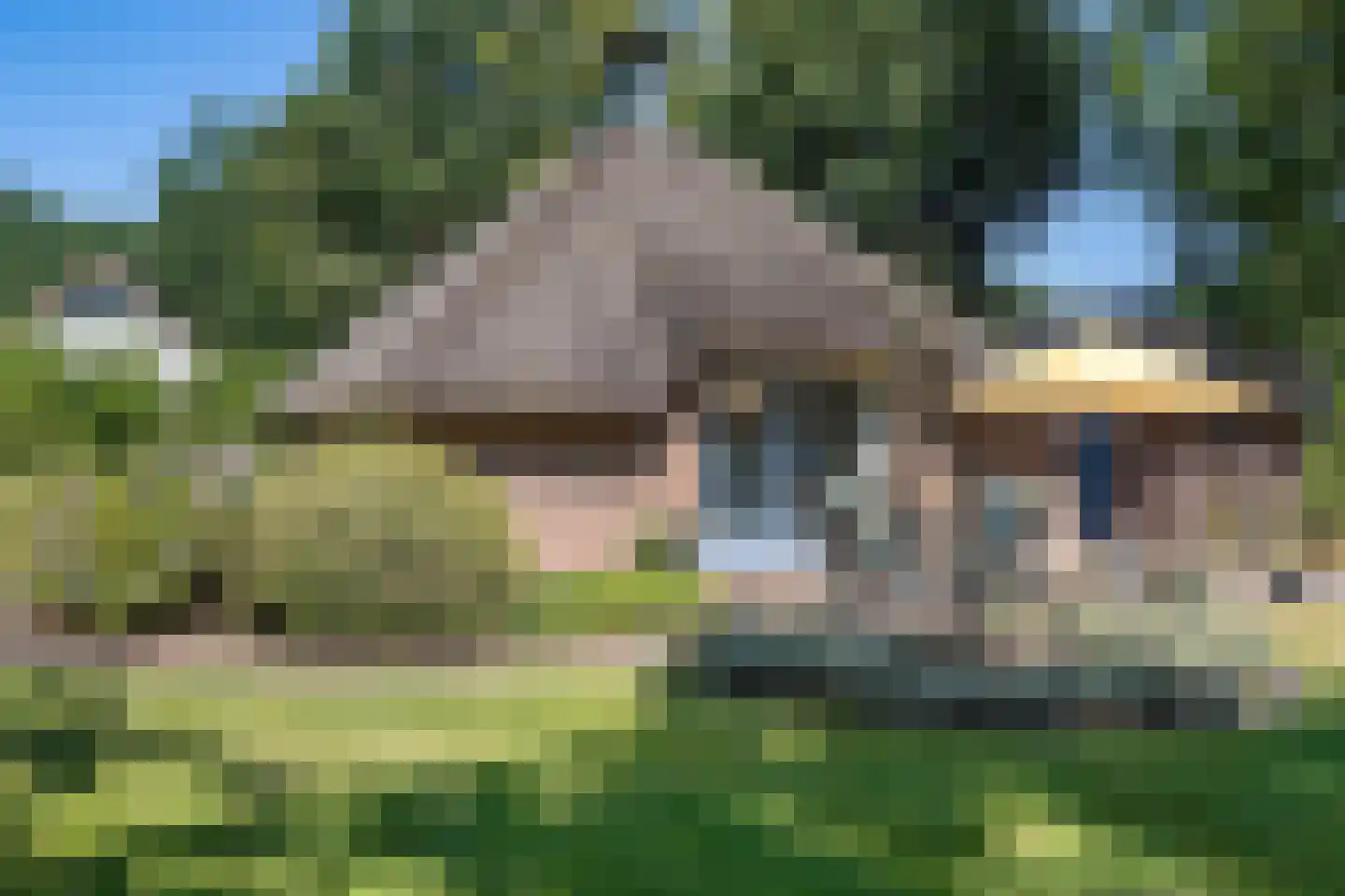 Valtherweg 36 337 Exloo thumbnail 32