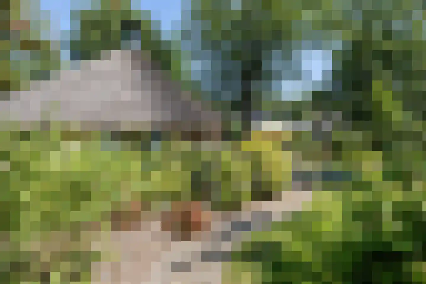 Valtherweg 36 337 Exloo thumbnail 33