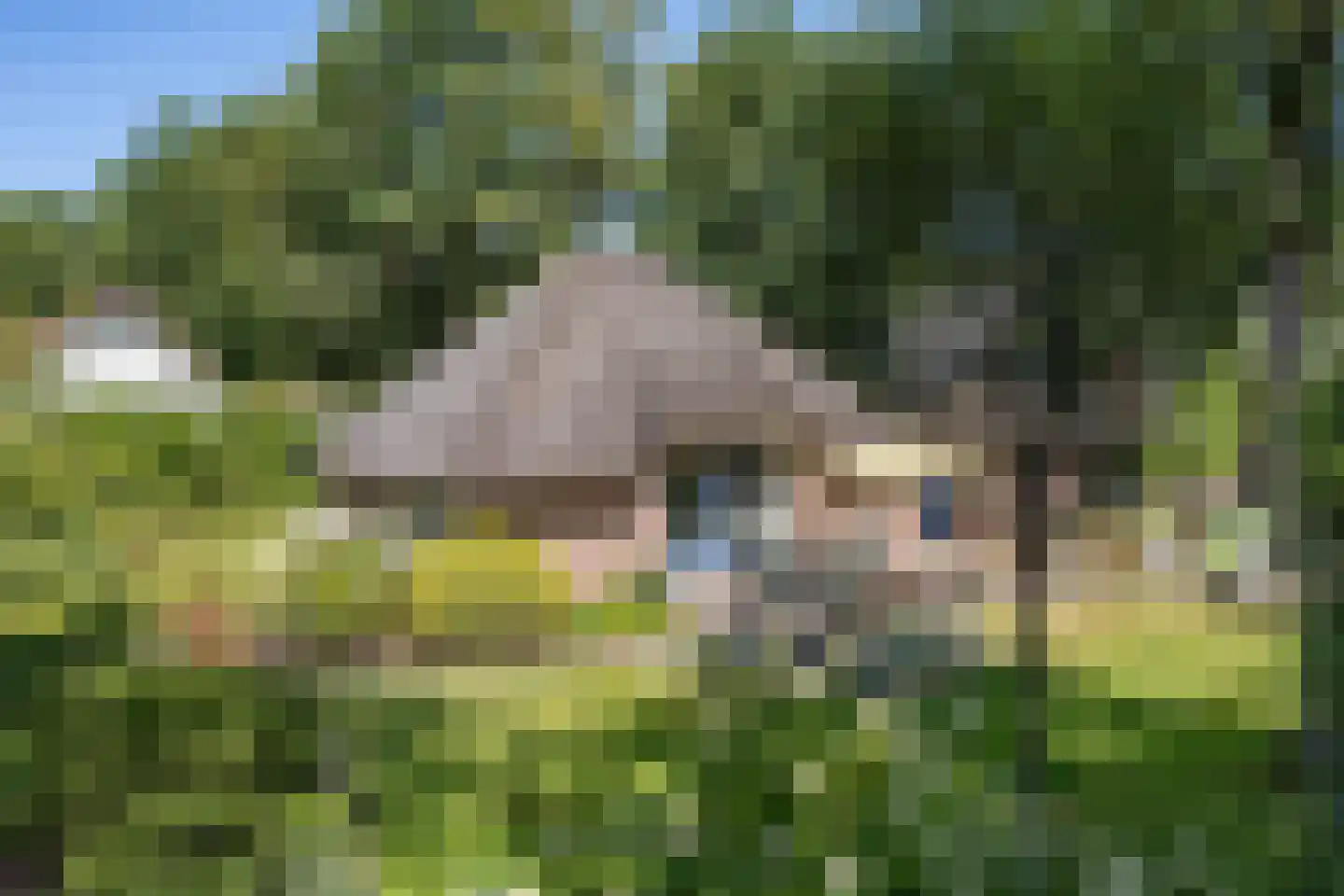 Valtherweg 36 337 Exloo thumbnail 35