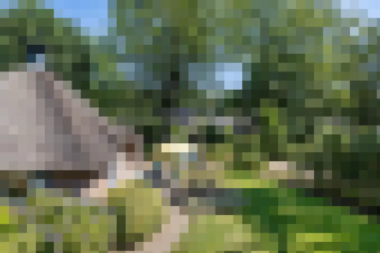 Valtherweg 36 337 Exloo thumbnail 36