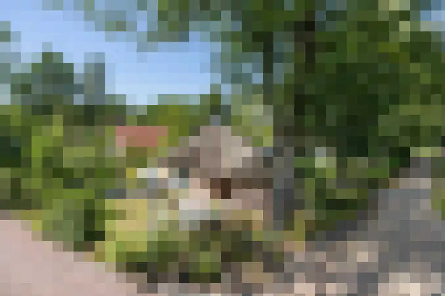 Valtherweg 36 337 Exloo thumbnail 37