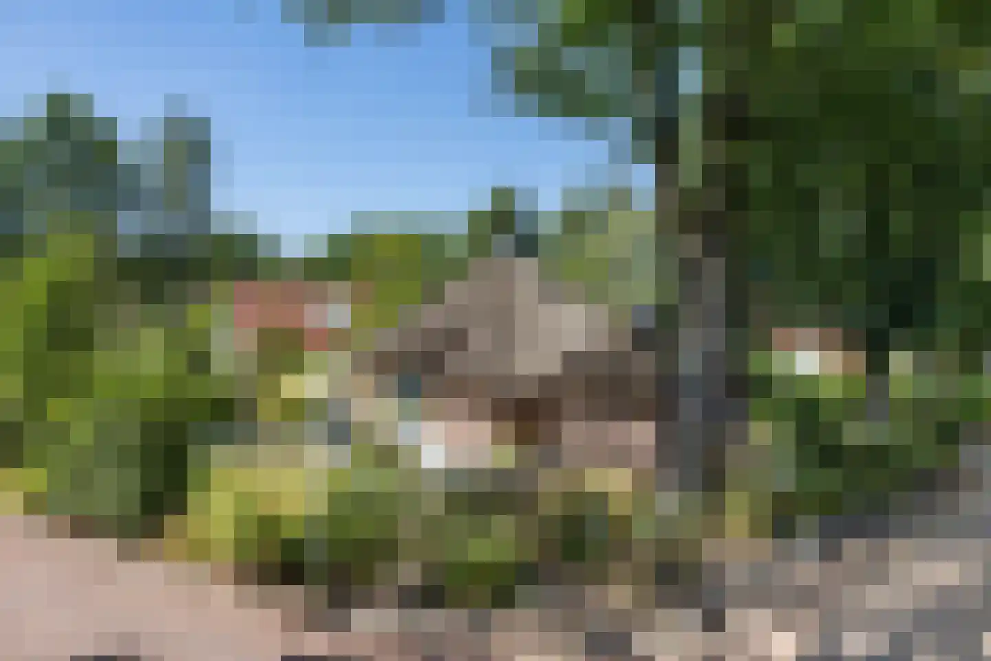 Valtherweg 36 337 Exloo thumbnail 38