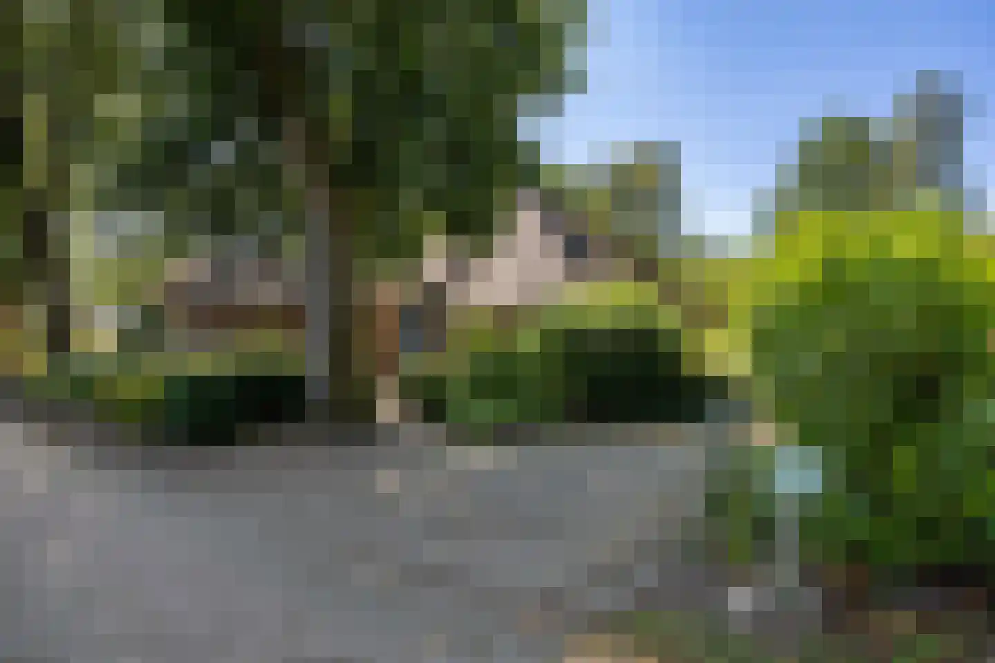 Valtherweg 36 337 Exloo thumbnail 40