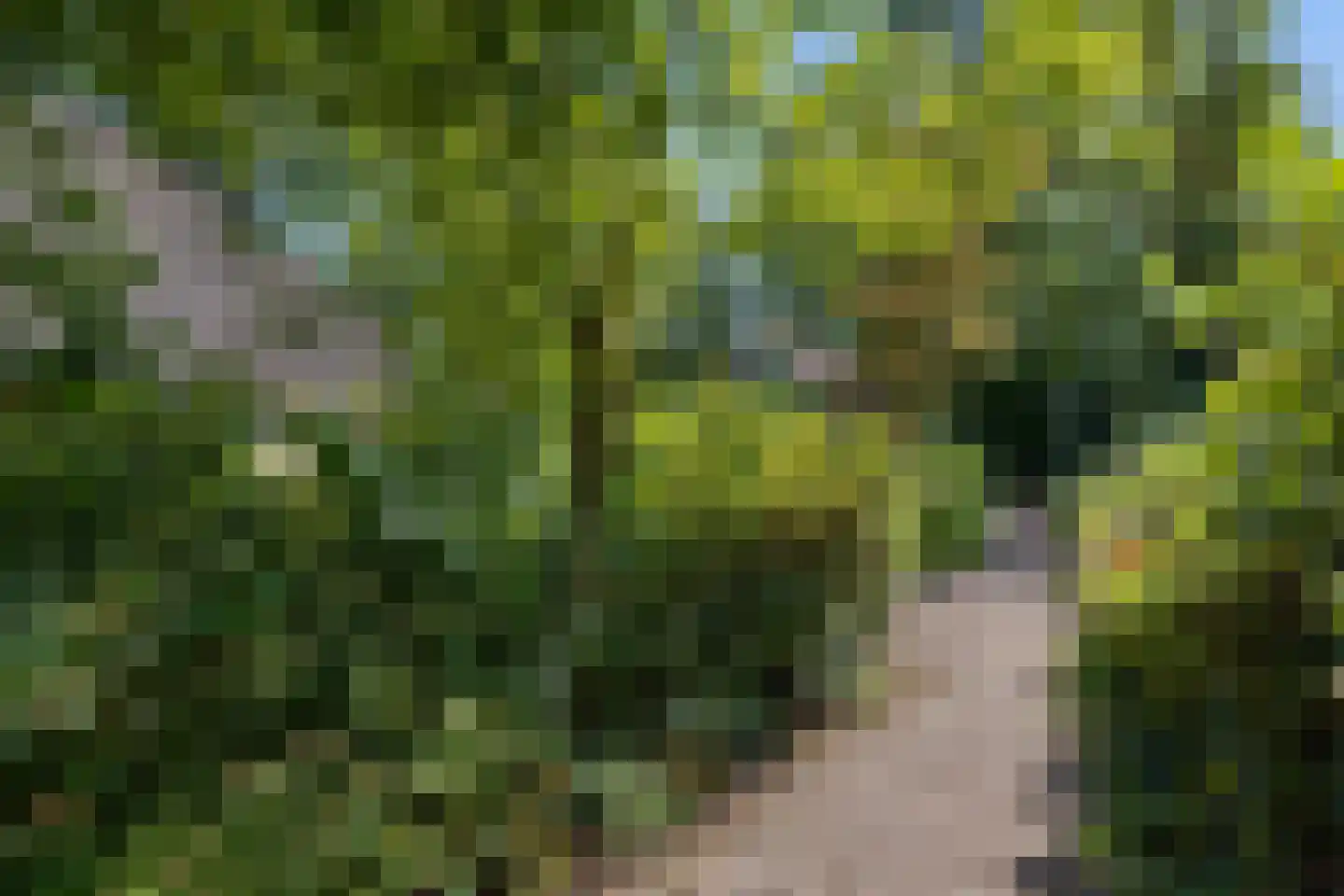 Valtherweg 36 337 Exloo thumbnail 44