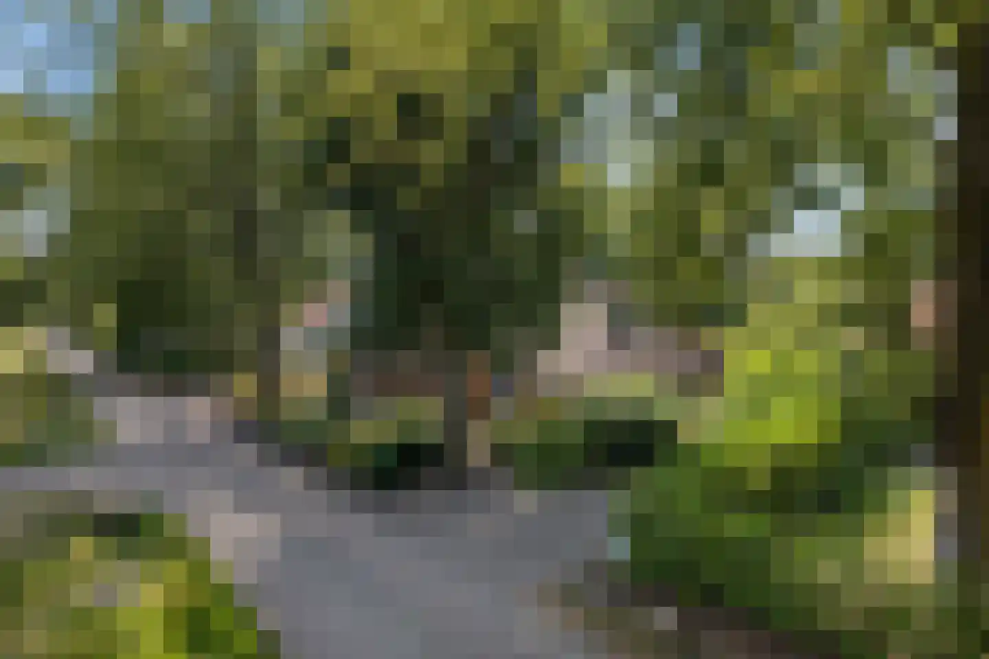 Valtherweg 36 337 Exloo thumbnail 45