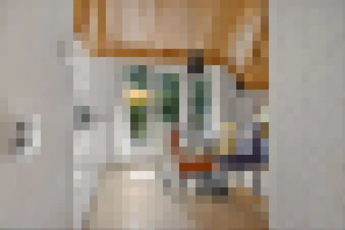 Valtherweg 36 337 Exloo thumbnail 8