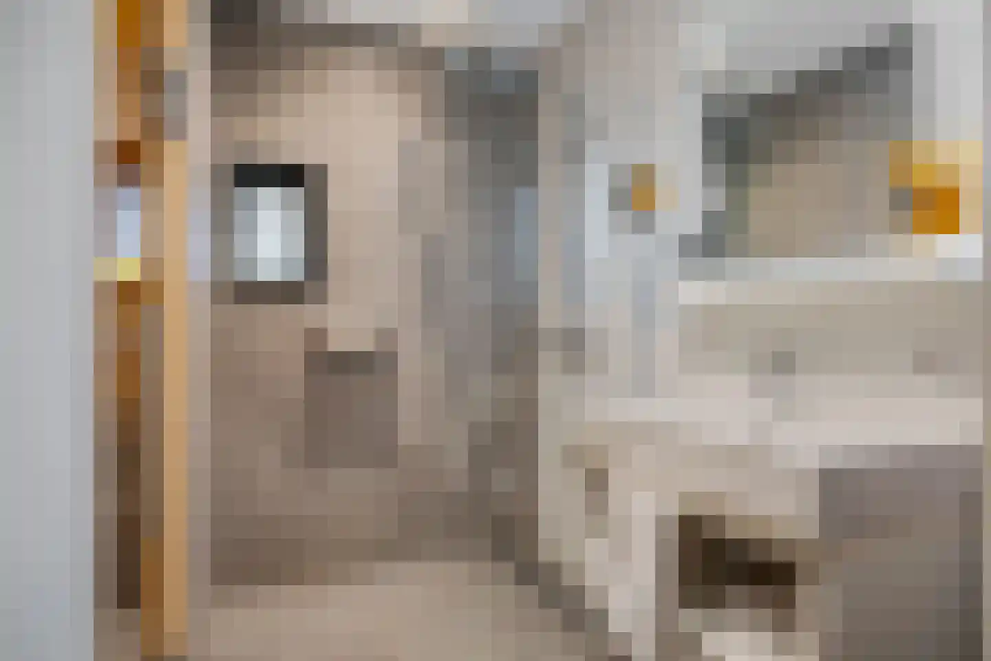 Valtherweg 36 351 Exloo thumbnail 22