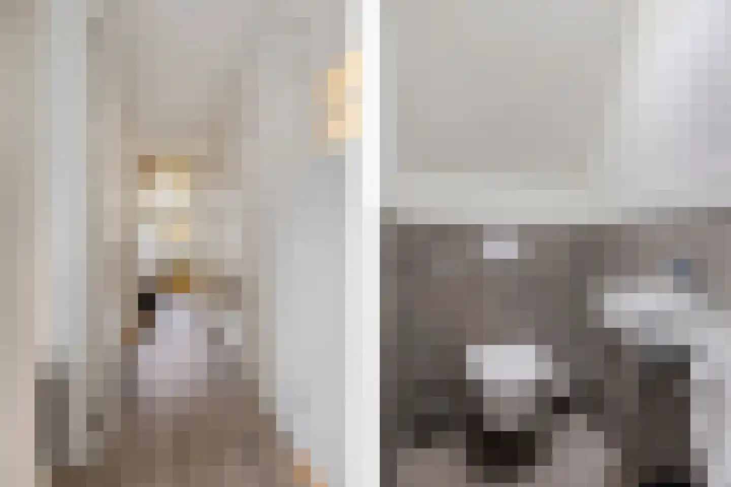 Valtherweg 36 351 Exloo thumbnail 24