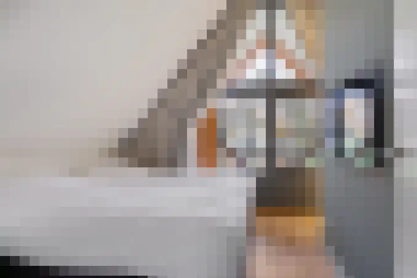 Valtherweg 36 351 Exloo thumbnail 26