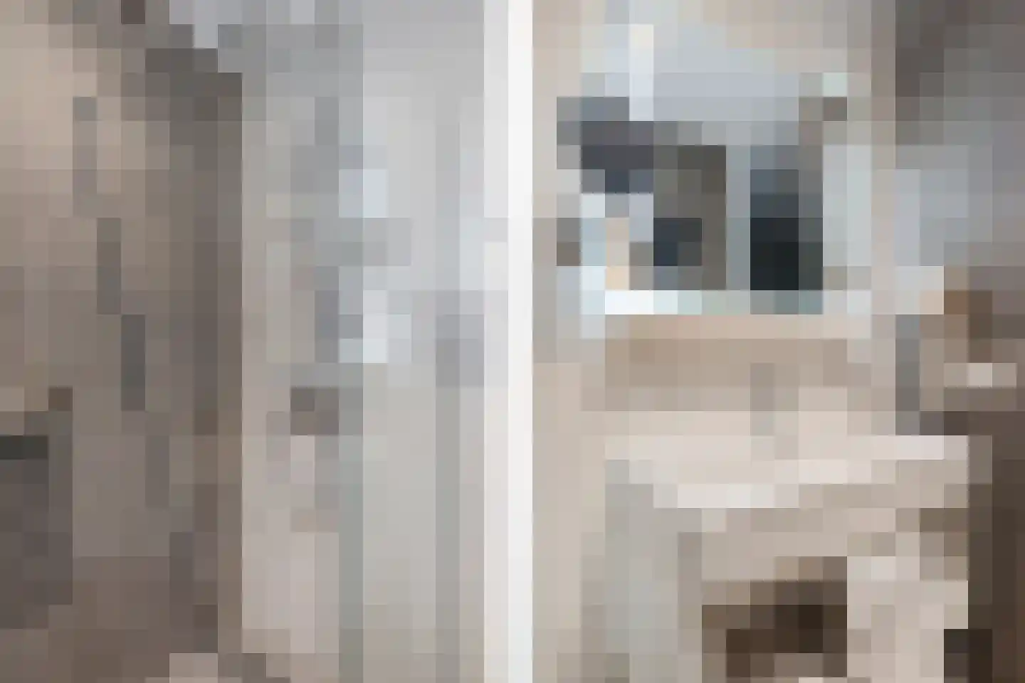 Valtherweg 36 351 Exloo thumbnail 28