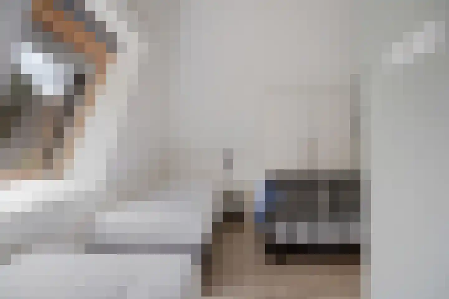 Valtherweg 36 351 Exloo thumbnail 33