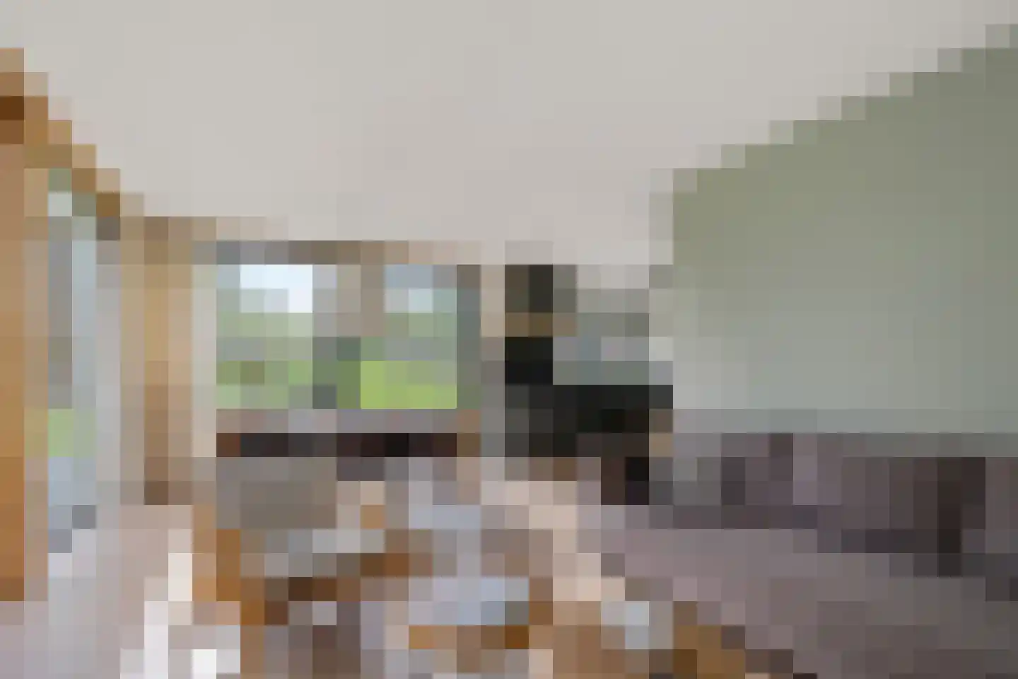 Valtherweg 36 352 Exloo thumbnail 11