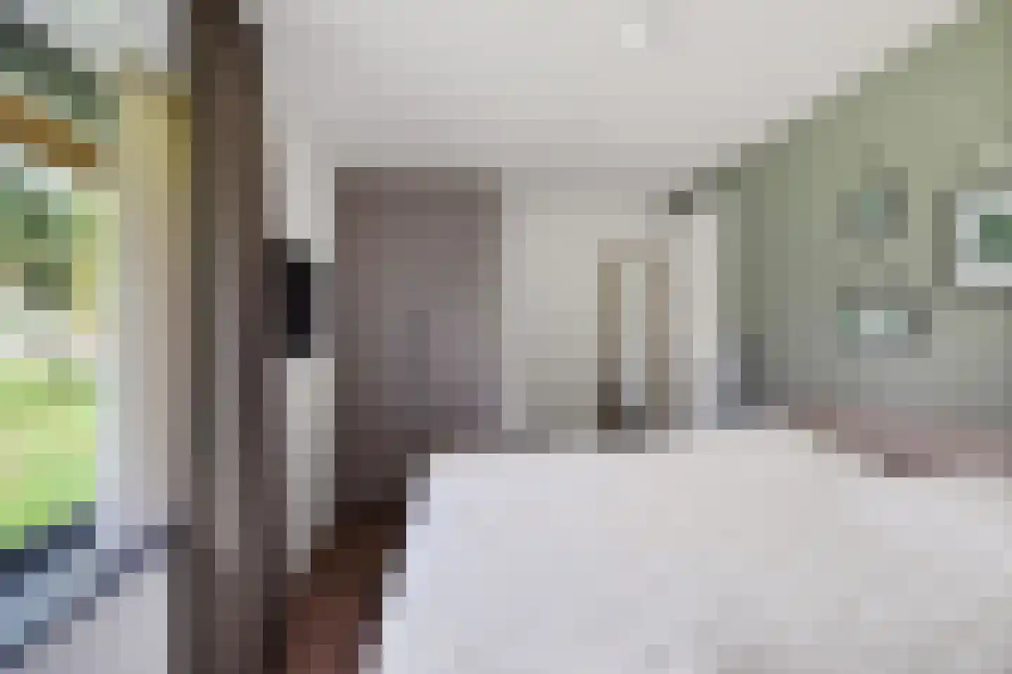 Valtherweg 36 352 Exloo thumbnail 16