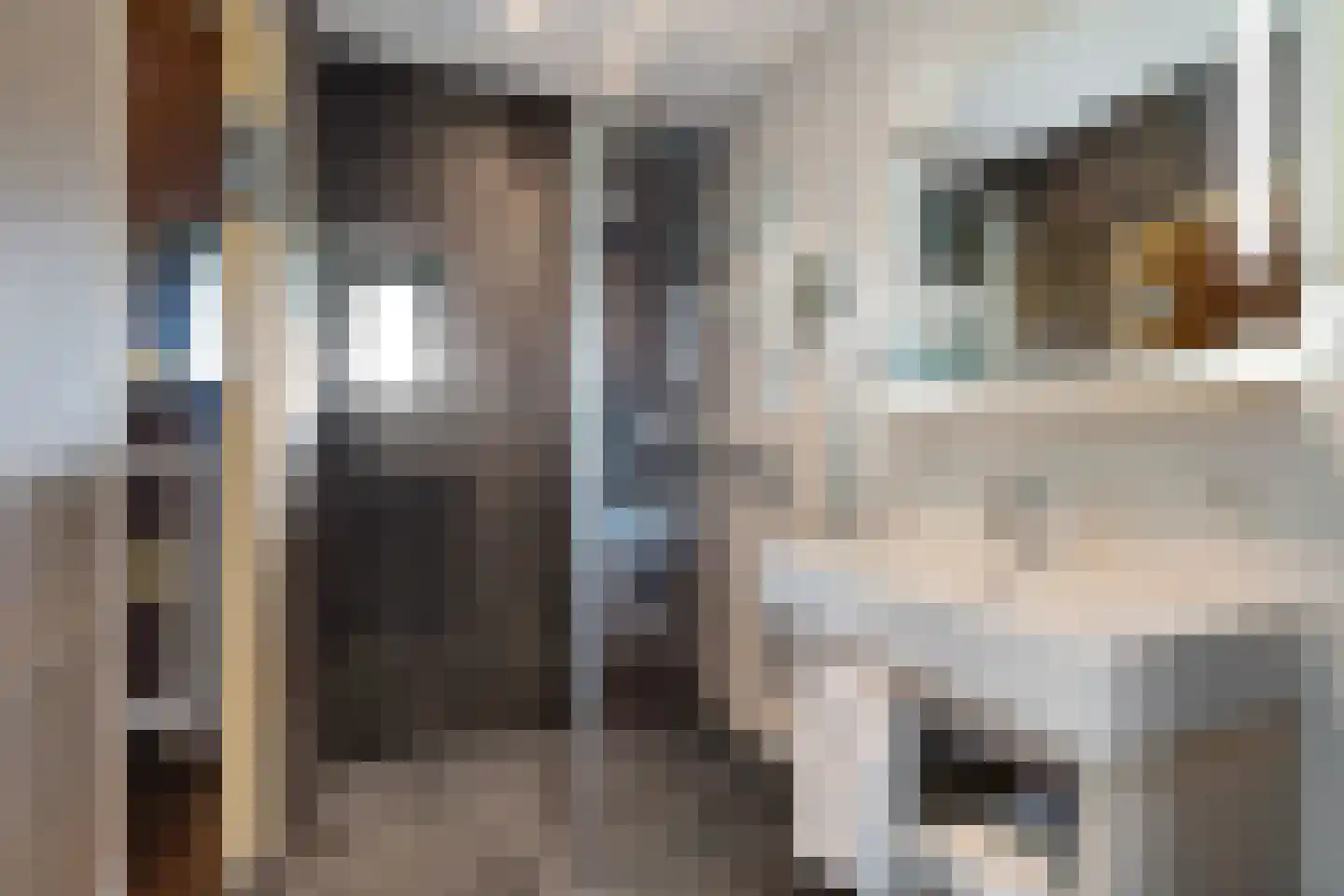 Valtherweg 36 352 Exloo thumbnail 17