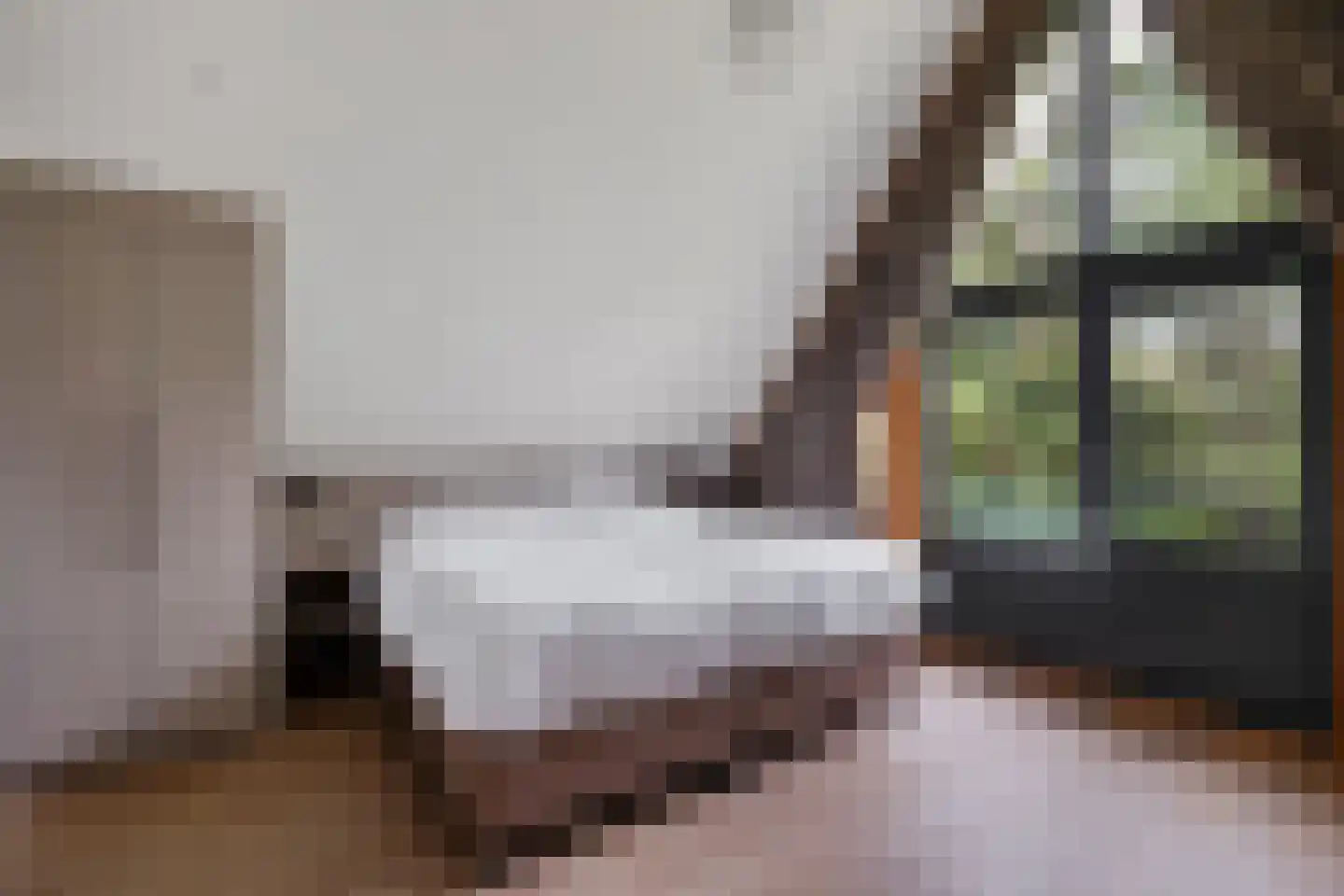 Valtherweg 36 352 Exloo thumbnail 22