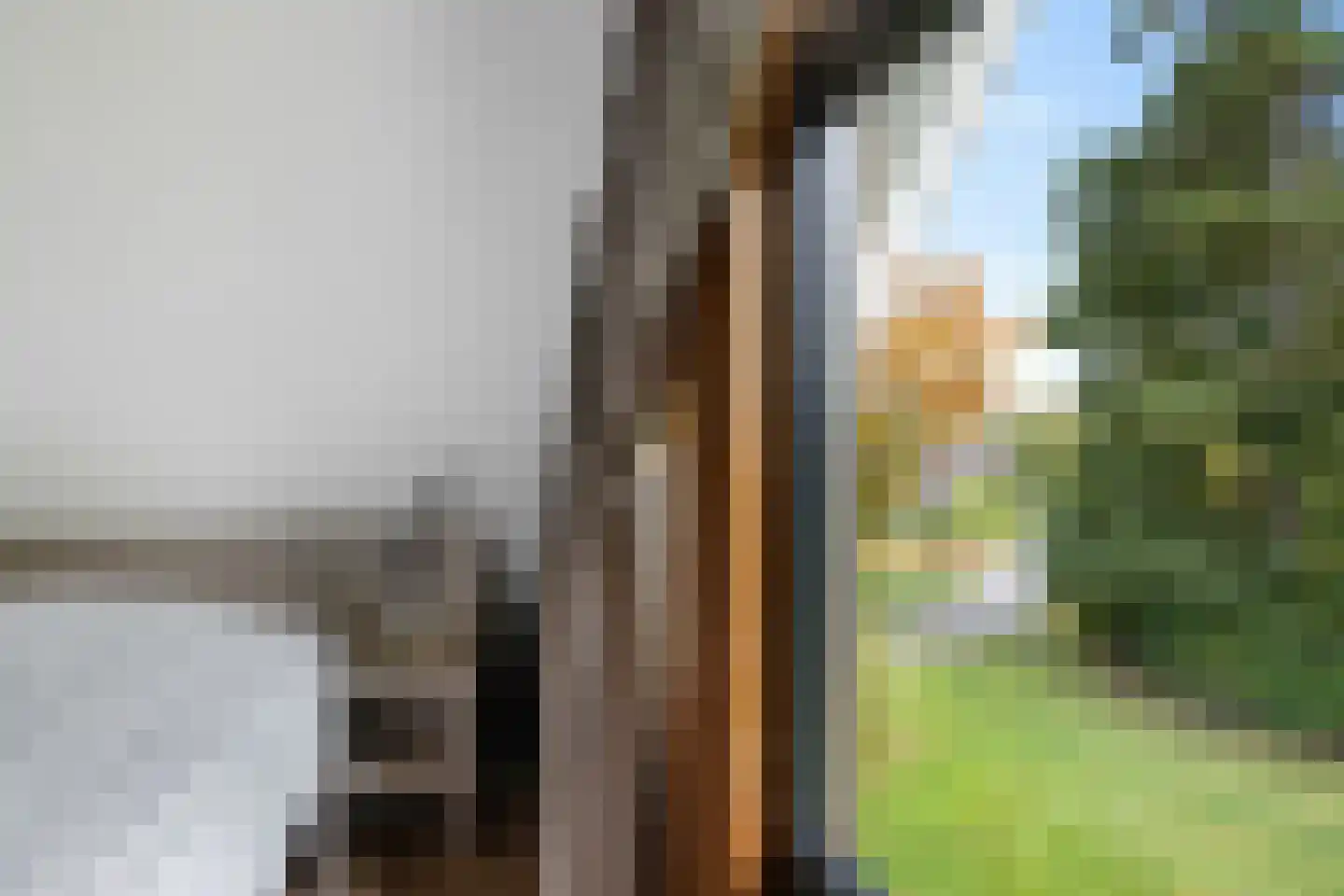 Valtherweg 36 352 Exloo thumbnail 24