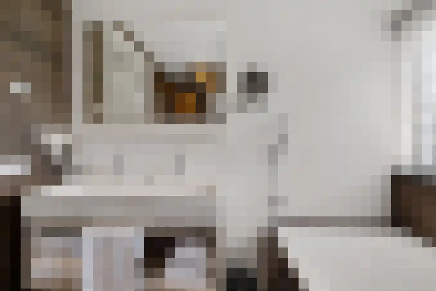 Valtherweg 36 352 Exloo thumbnail 28