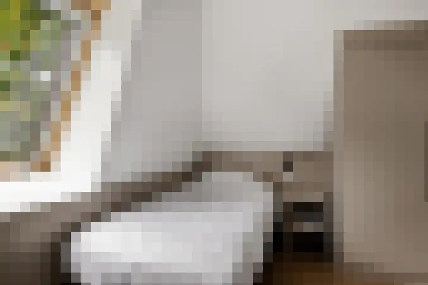 Valtherweg 36 352 Exloo thumbnail 30