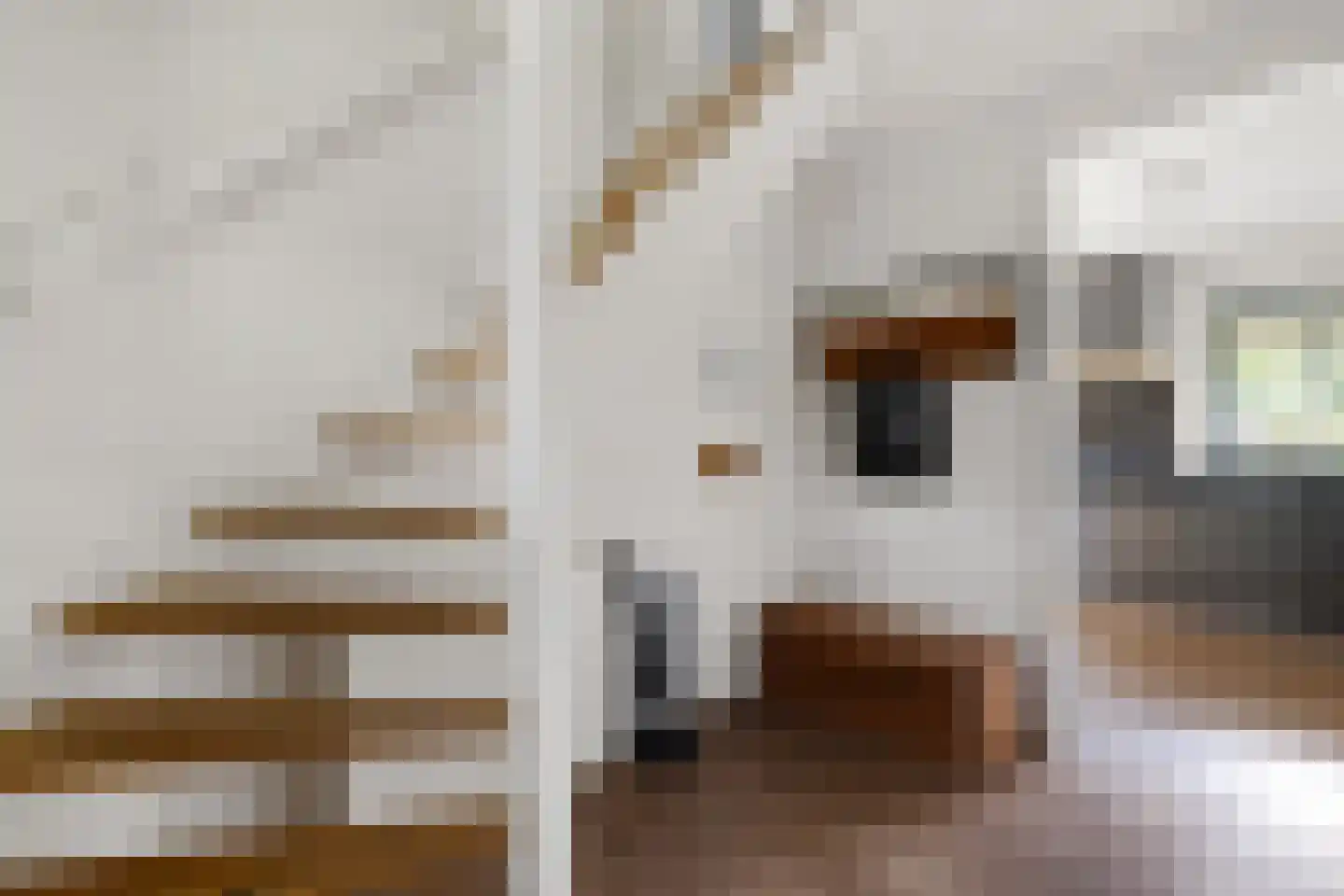 Valtherweg 36 352 Exloo thumbnail 5