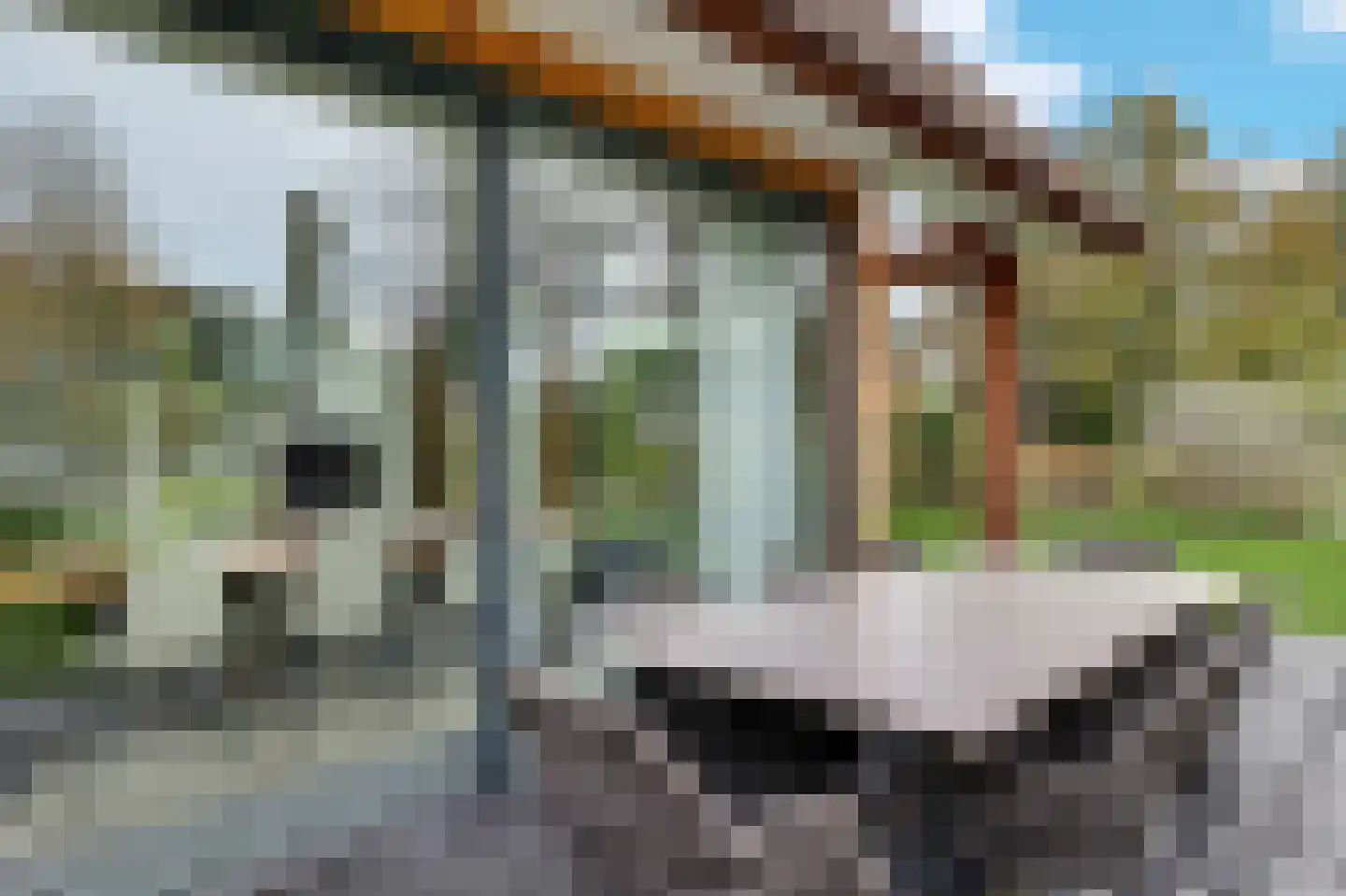 Valtherweg 36 391 Exloo thumbnail 10