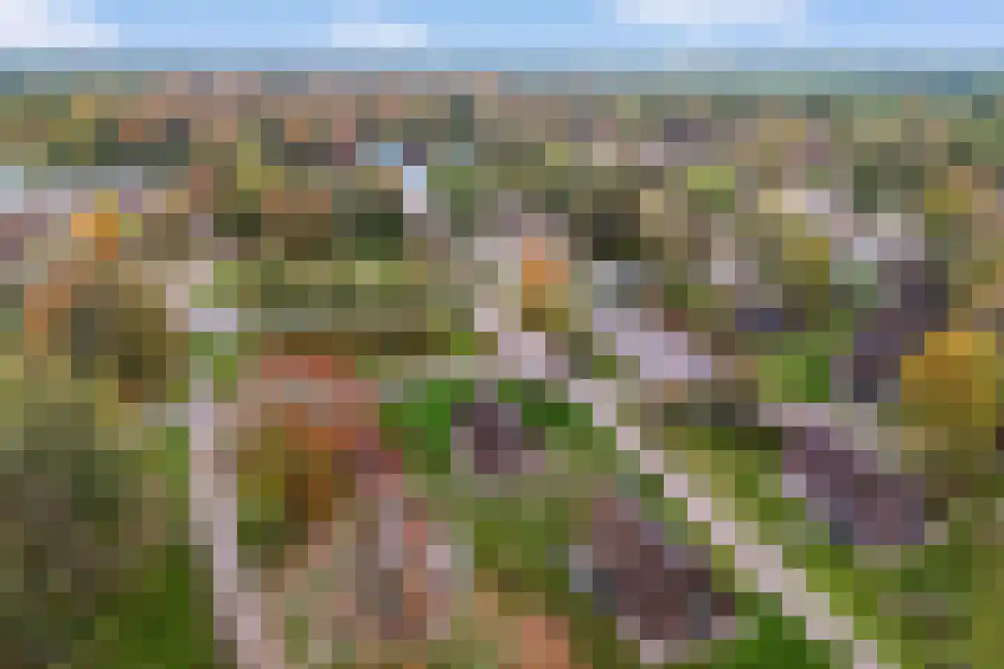 Valtherweg 36 391 Exloo thumbnail 35
