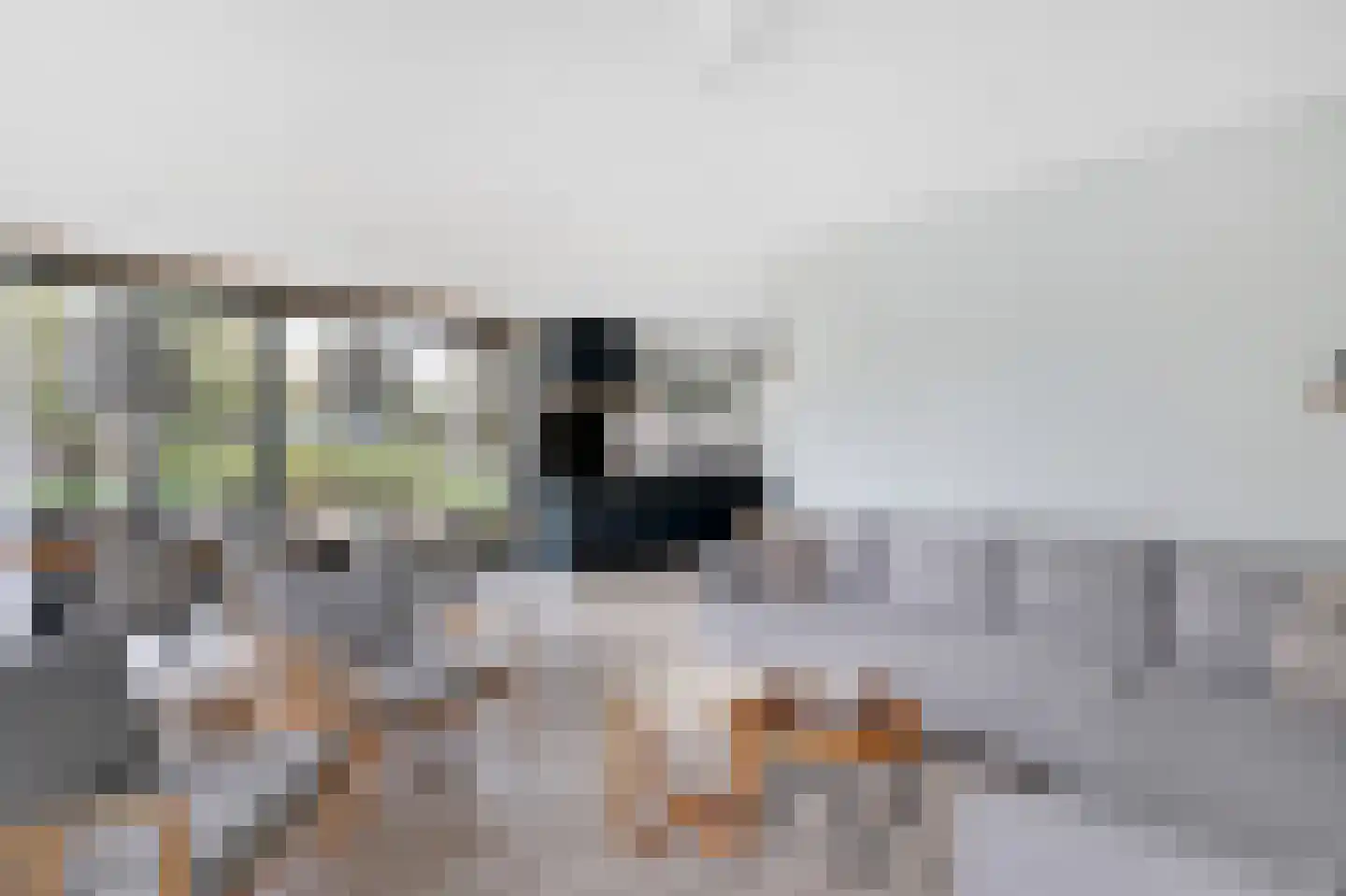 Valtherweg 36 391 Exloo thumbnail 5