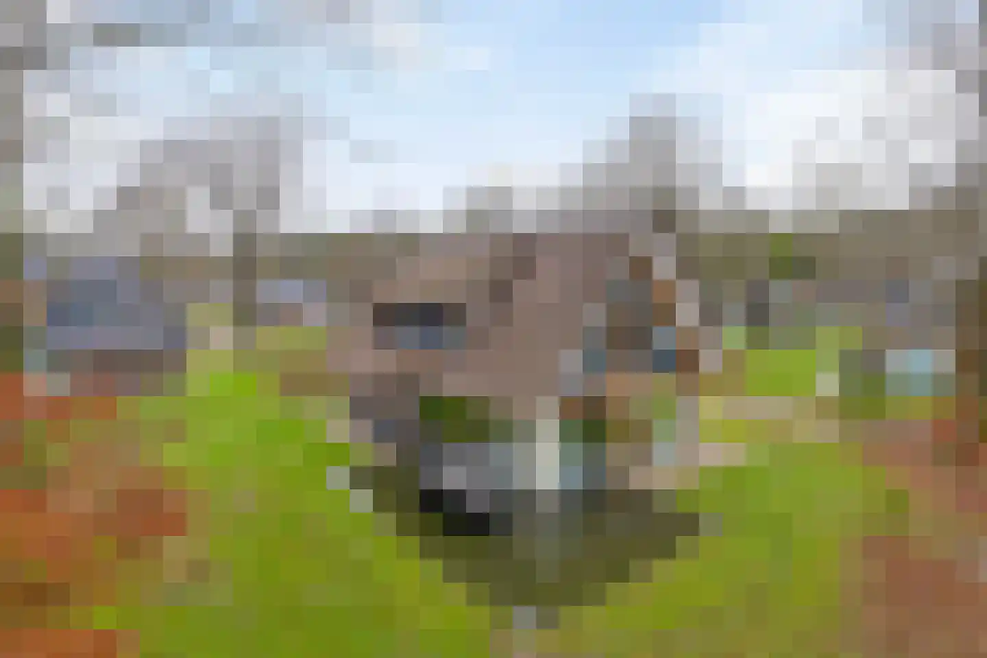 Valtherweg 36 402 Exloo thumbnail 22
