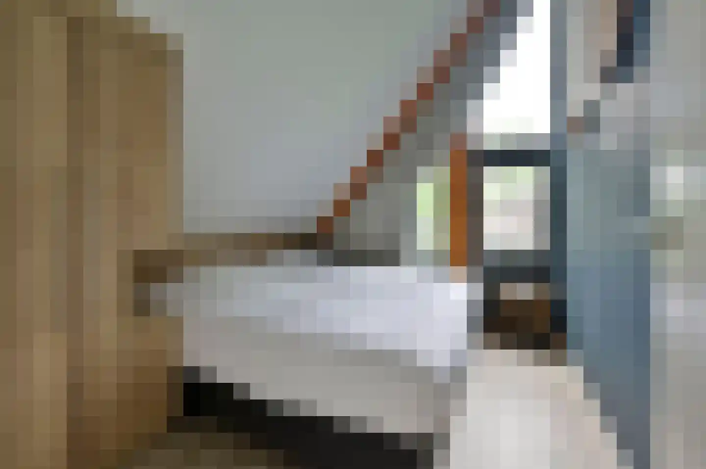 Valtherweg 36 414 Exloo thumbnail 15