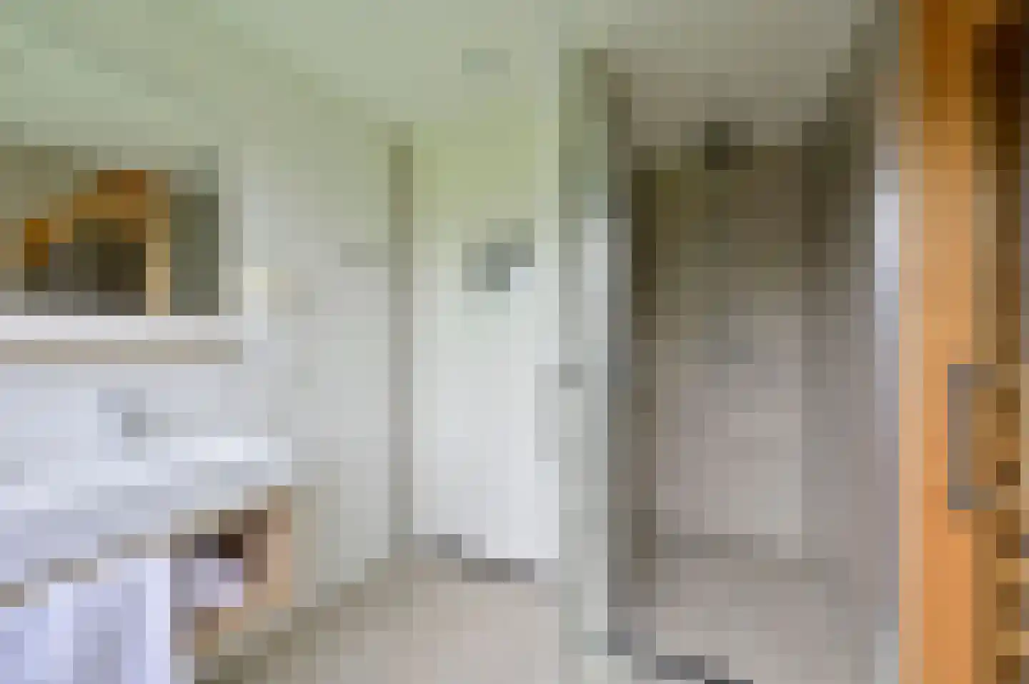 Valtherweg 36 414 Exloo thumbnail 21