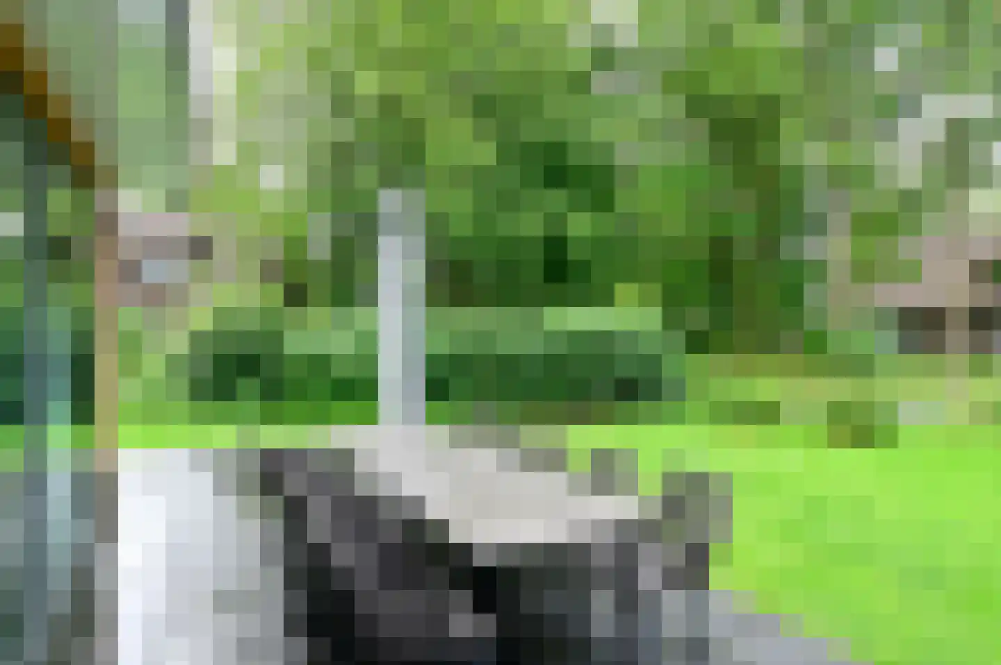 Valtherweg 36 414 Exloo thumbnail 27
