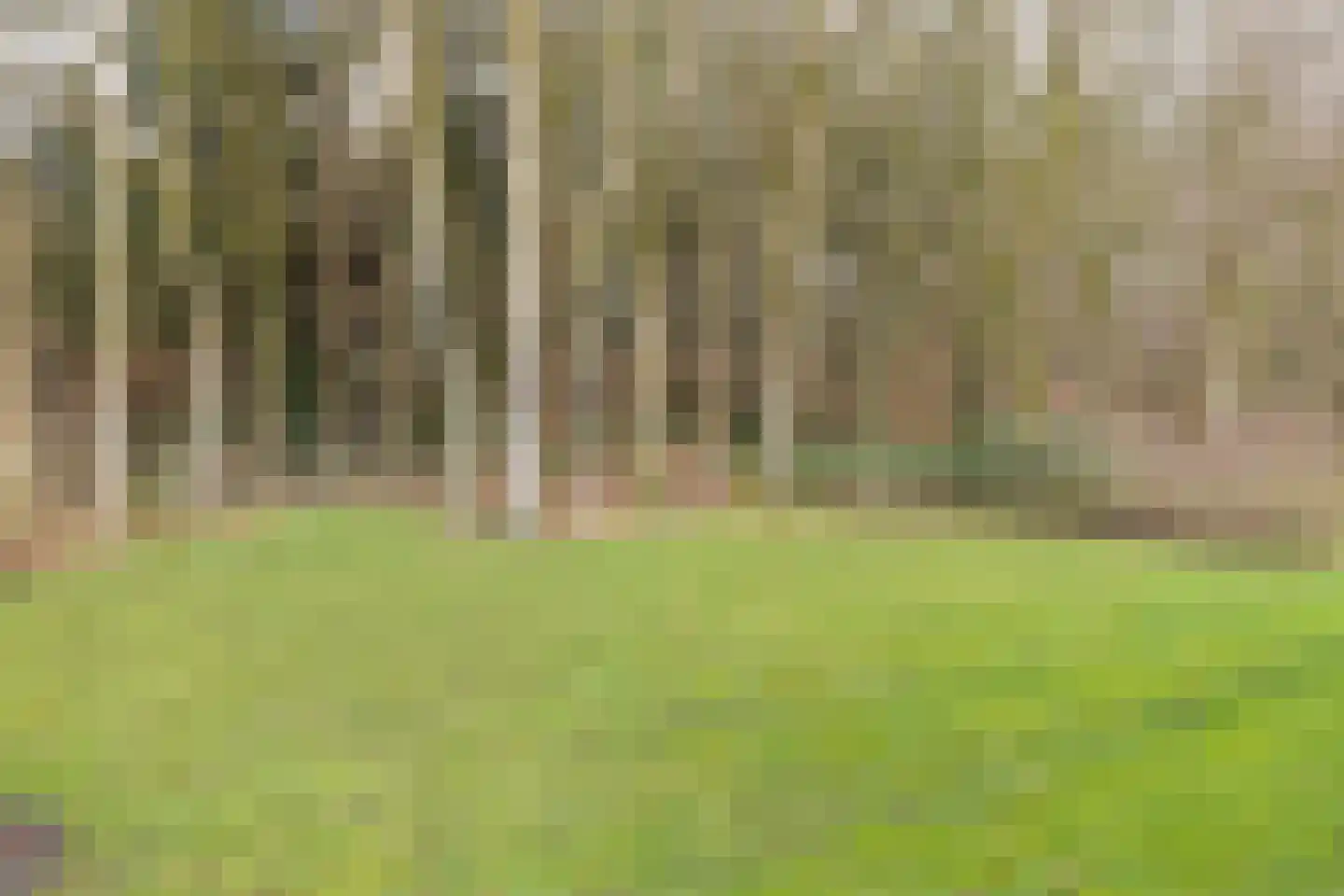 Valtherweg 36 424 Exloo thumbnail 22