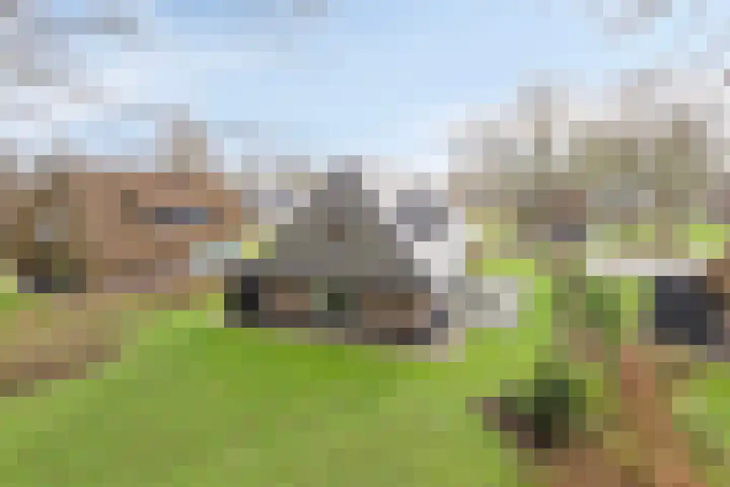 Valtherweg 36 424 Exloo thumbnail 23