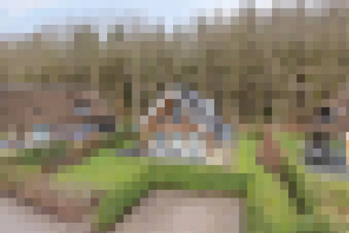 Valtherweg 36 424 Exloo thumbnail 27