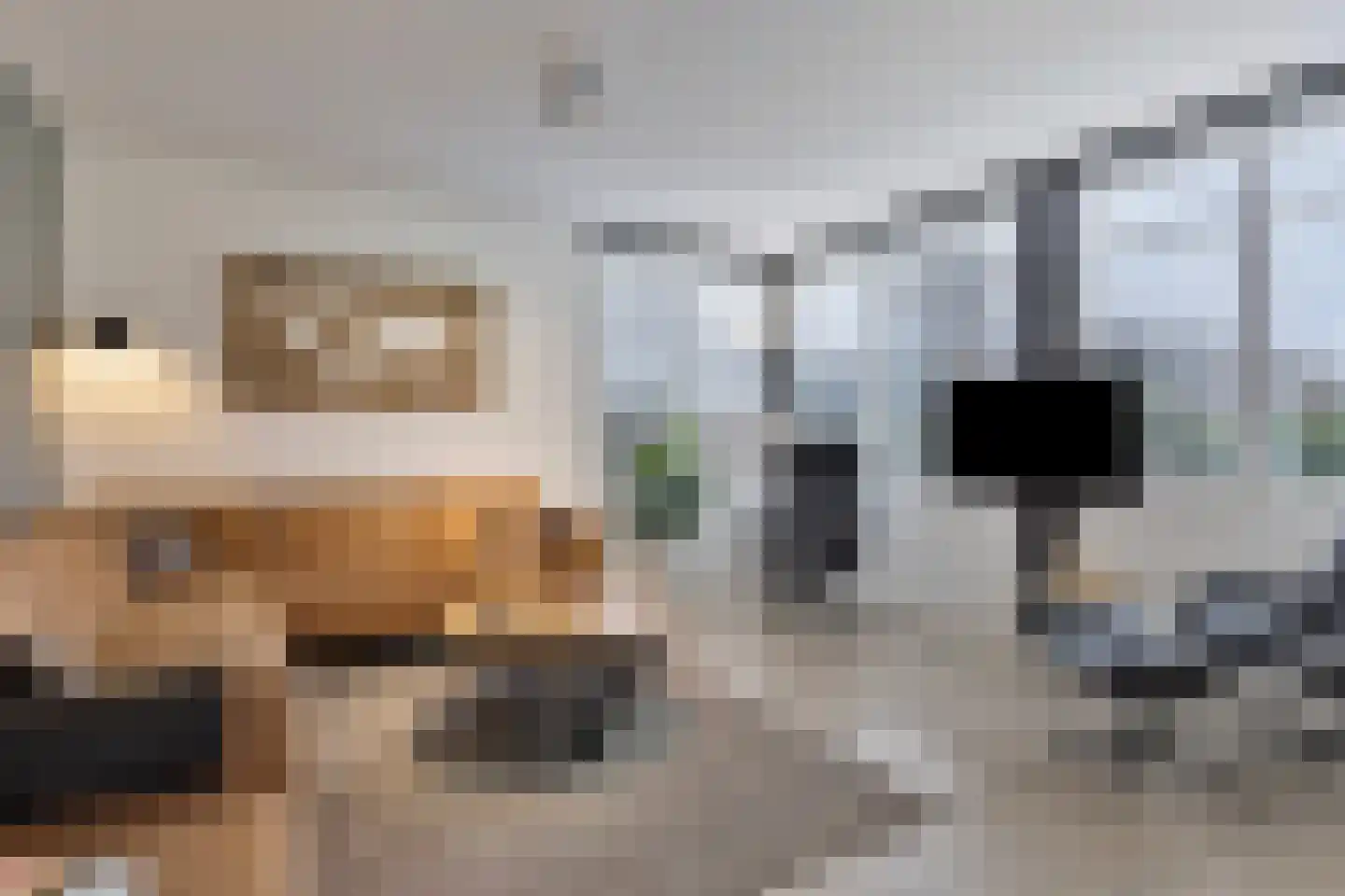 Valtherweg 36 424 Exloo thumbnail 7