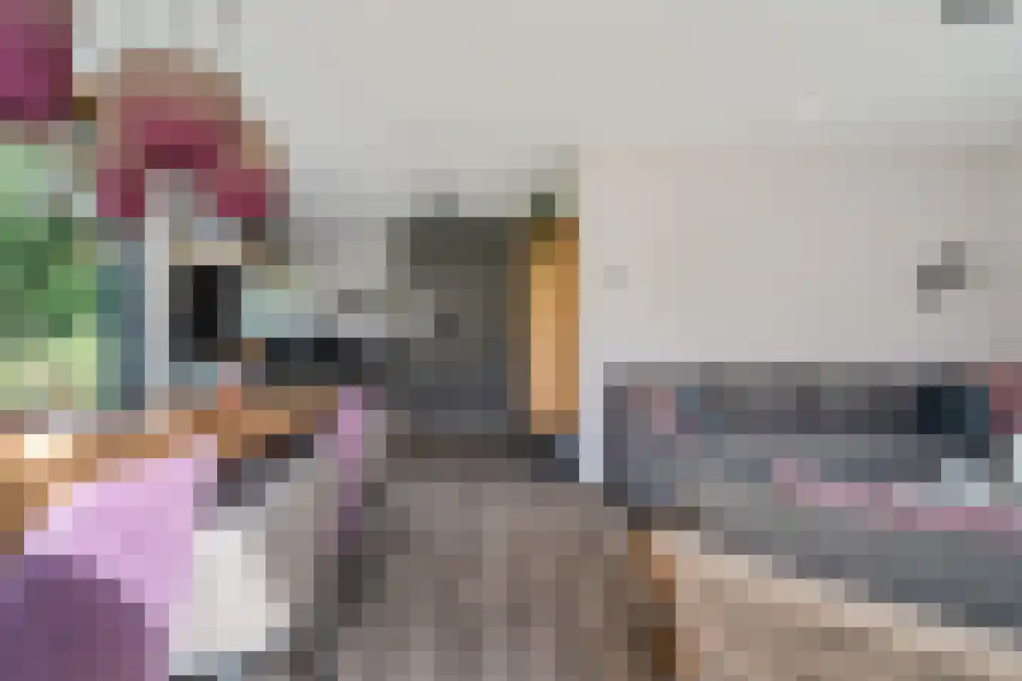 Valtherweg 36 428 Exloo thumbnail 11