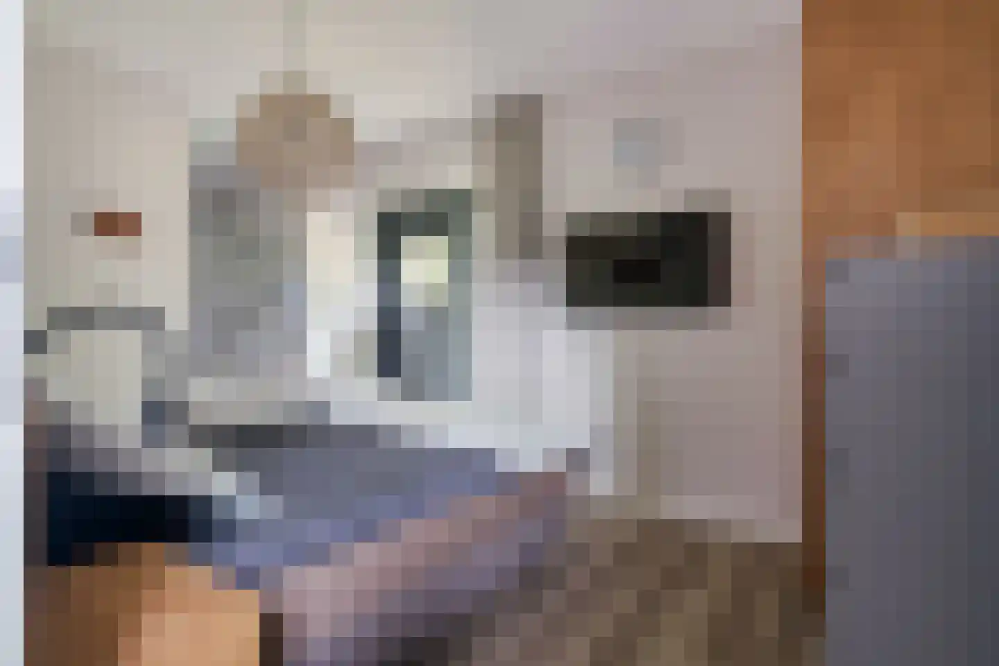 Valtherweg 36 428 Exloo thumbnail 17