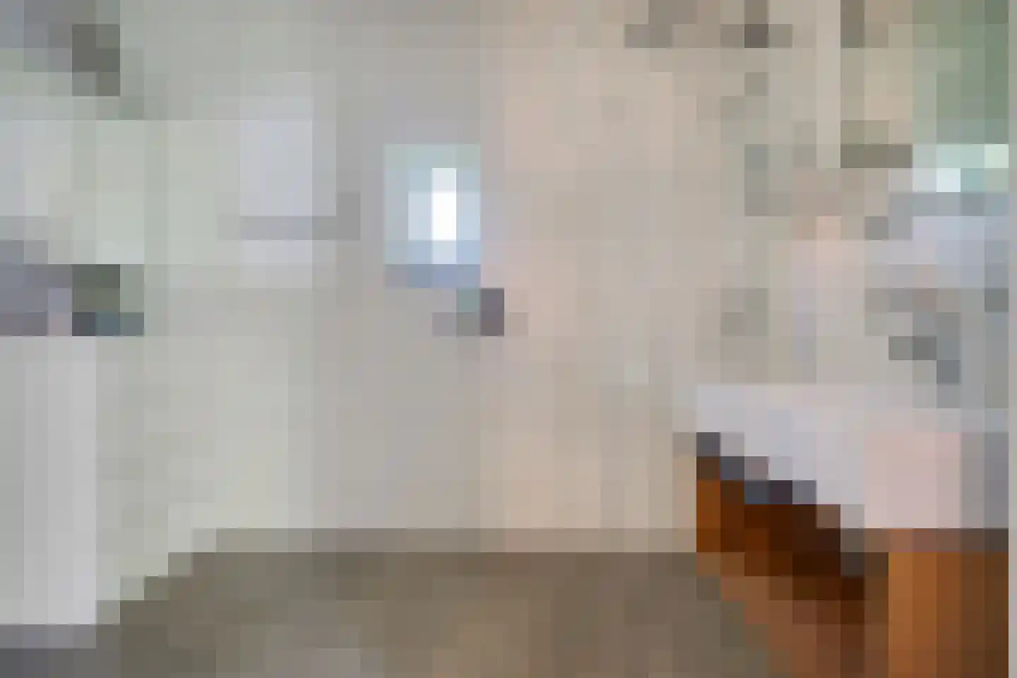 Valtherweg 36 428 Exloo thumbnail 19