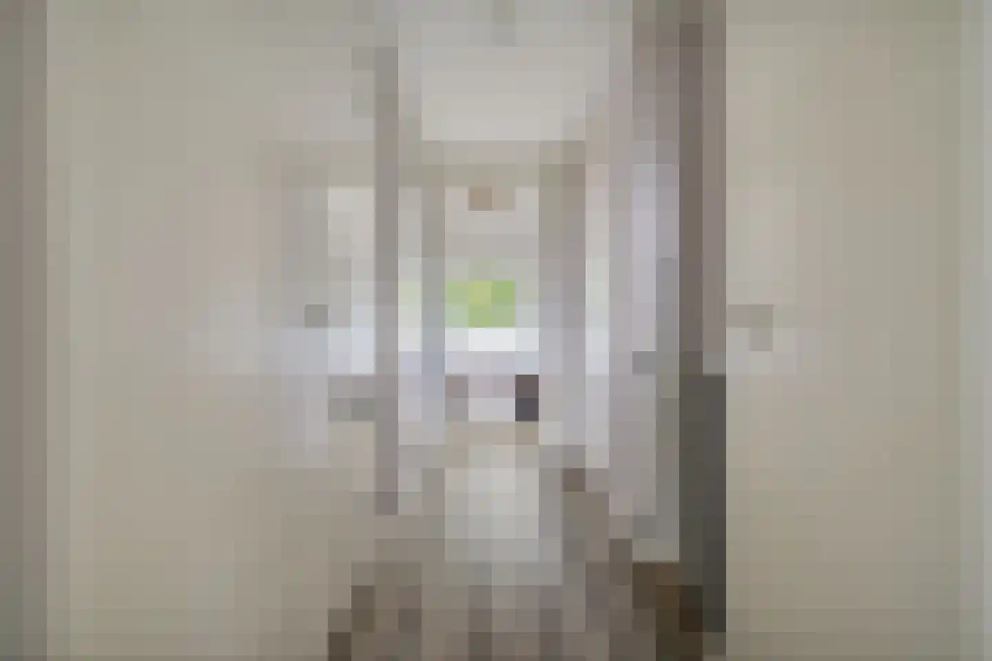 Valtherweg 36 428 Exloo thumbnail 22