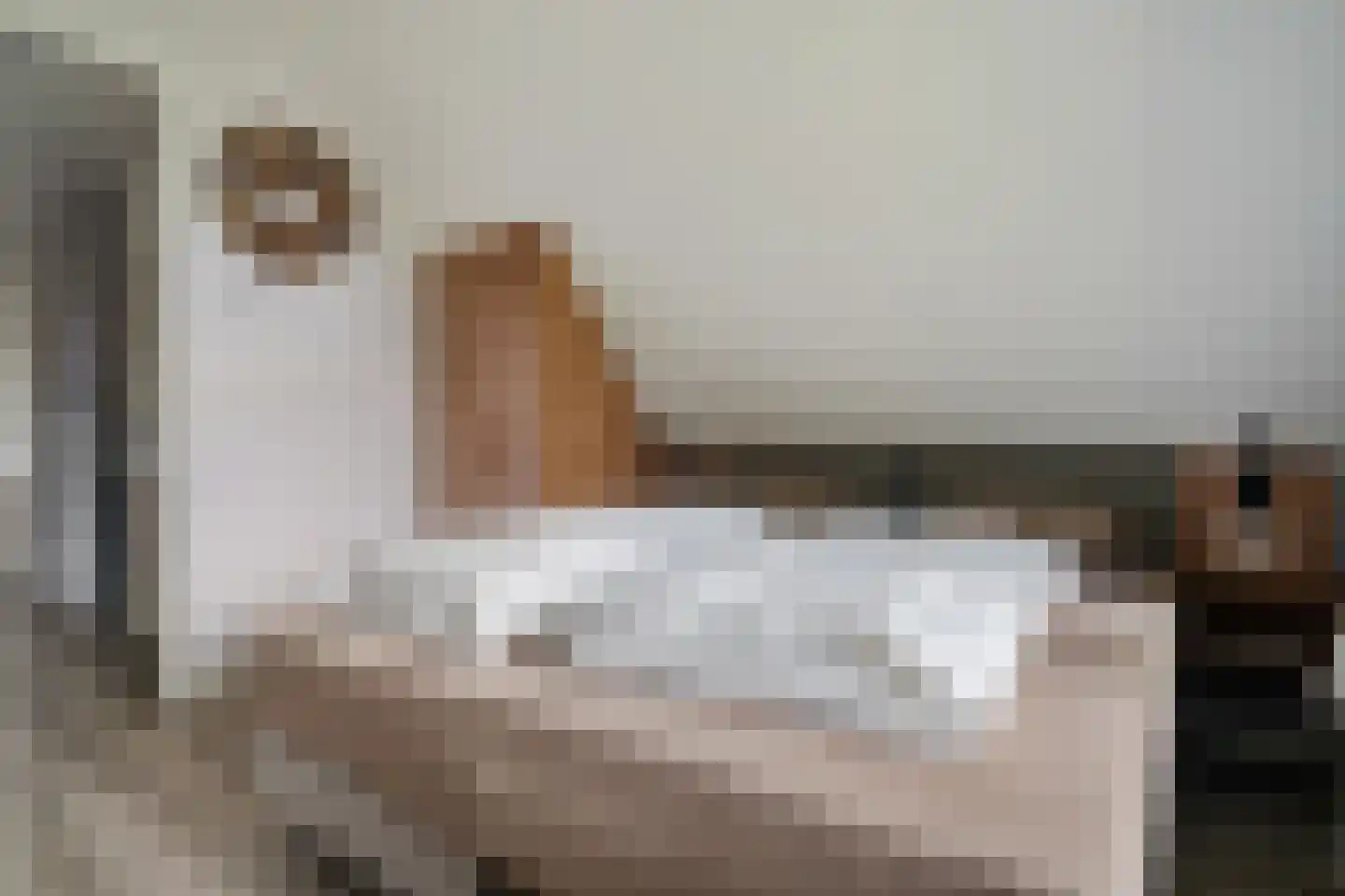 Valtherweg 36 428 Exloo thumbnail 25