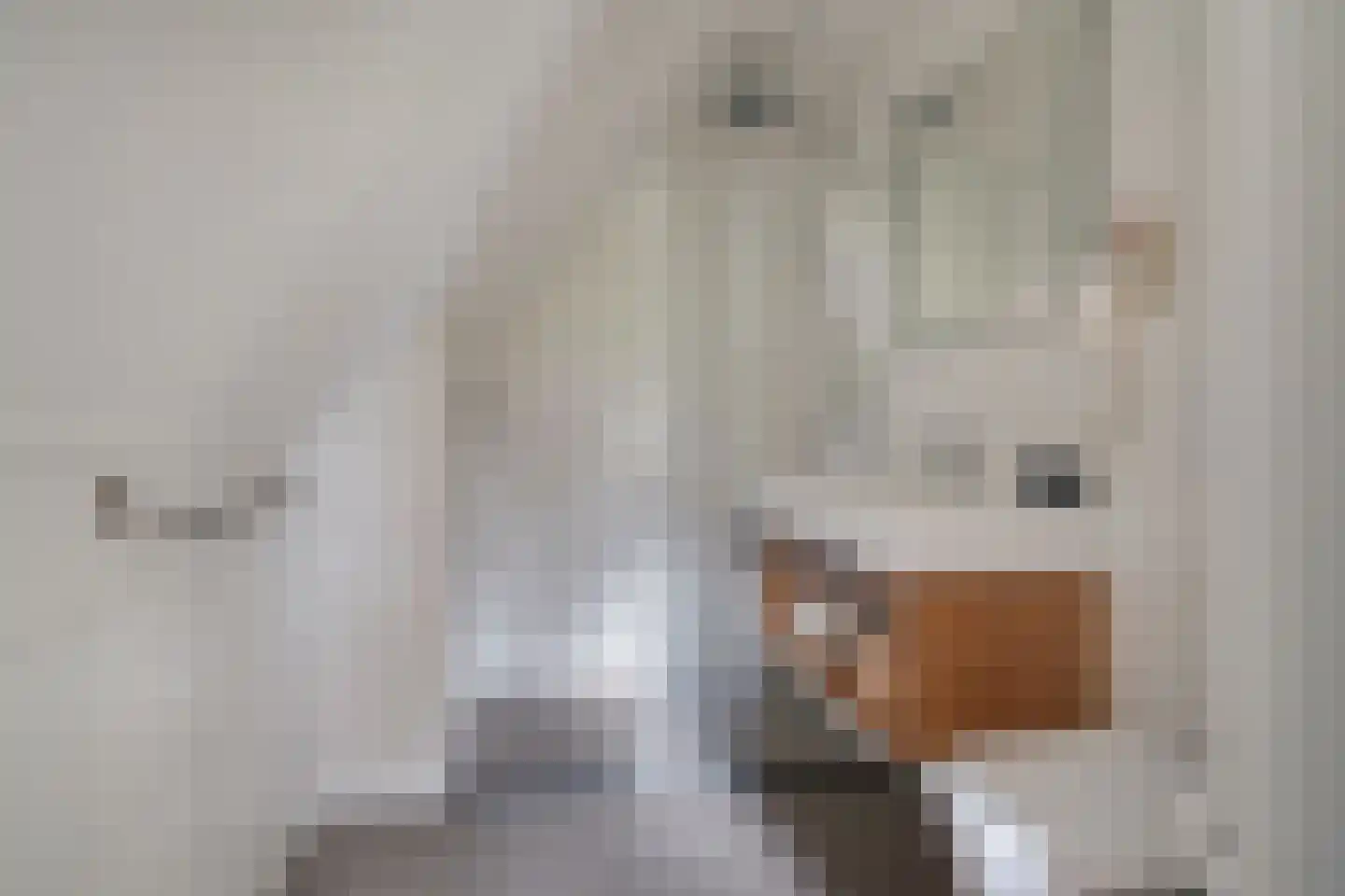 Valtherweg 36 428 Exloo thumbnail 27