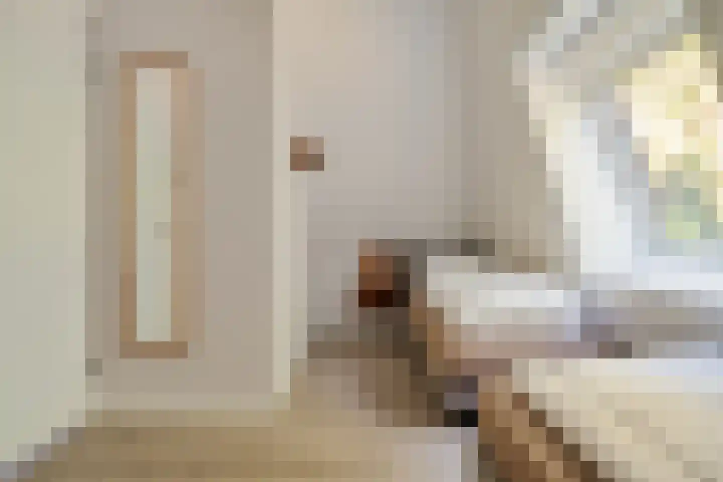 Valtherweg 36 428 Exloo thumbnail 29