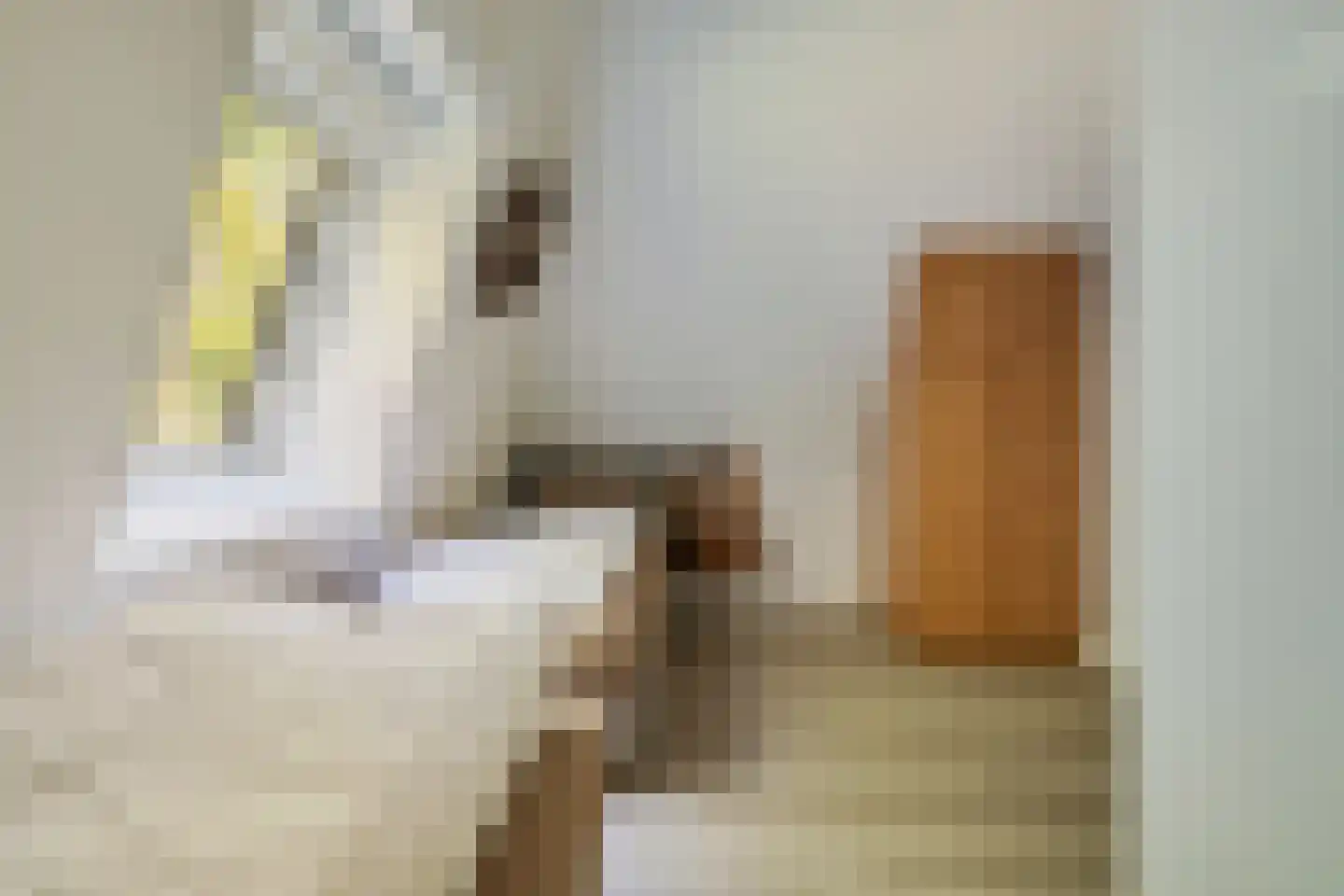 Valtherweg 36 428 Exloo thumbnail 30