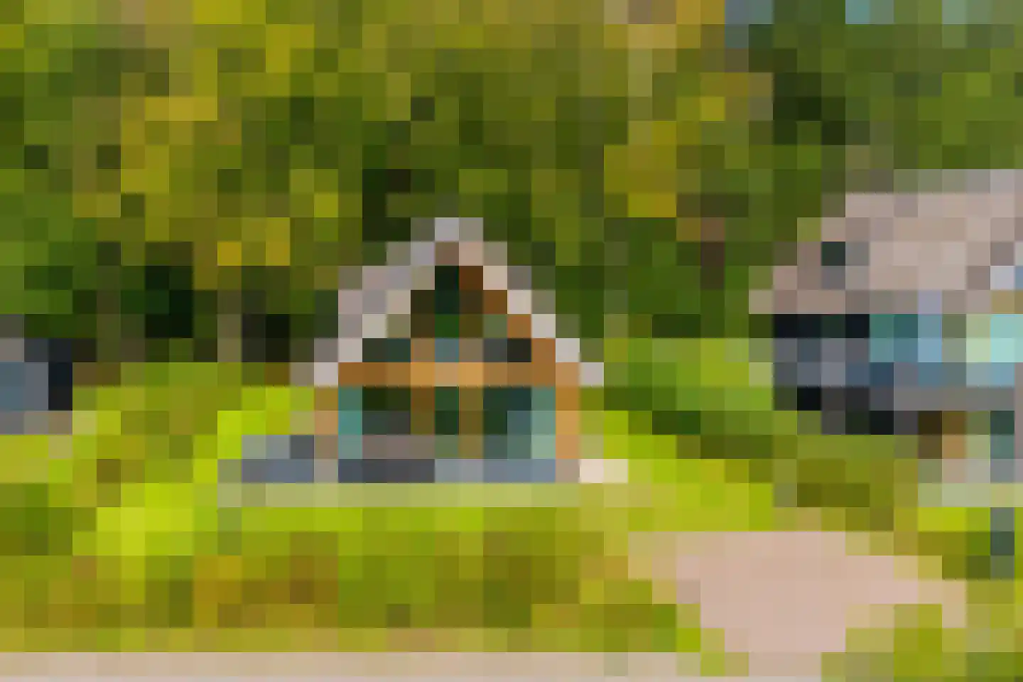 Valtherweg 36 428 Exloo thumbnail 37